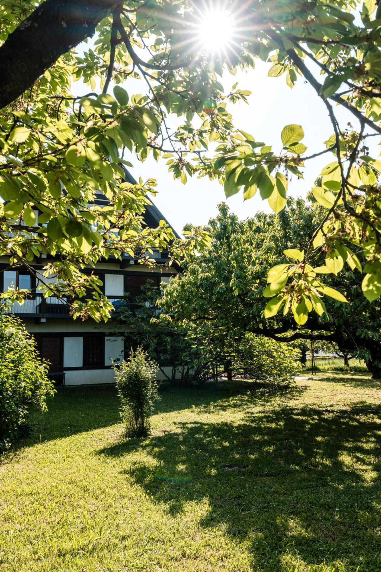 Gaestehaus Obsthof Gottenheim Ngoại thất bức ảnh